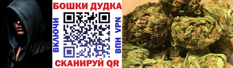 закладка Шумиха Конопля план